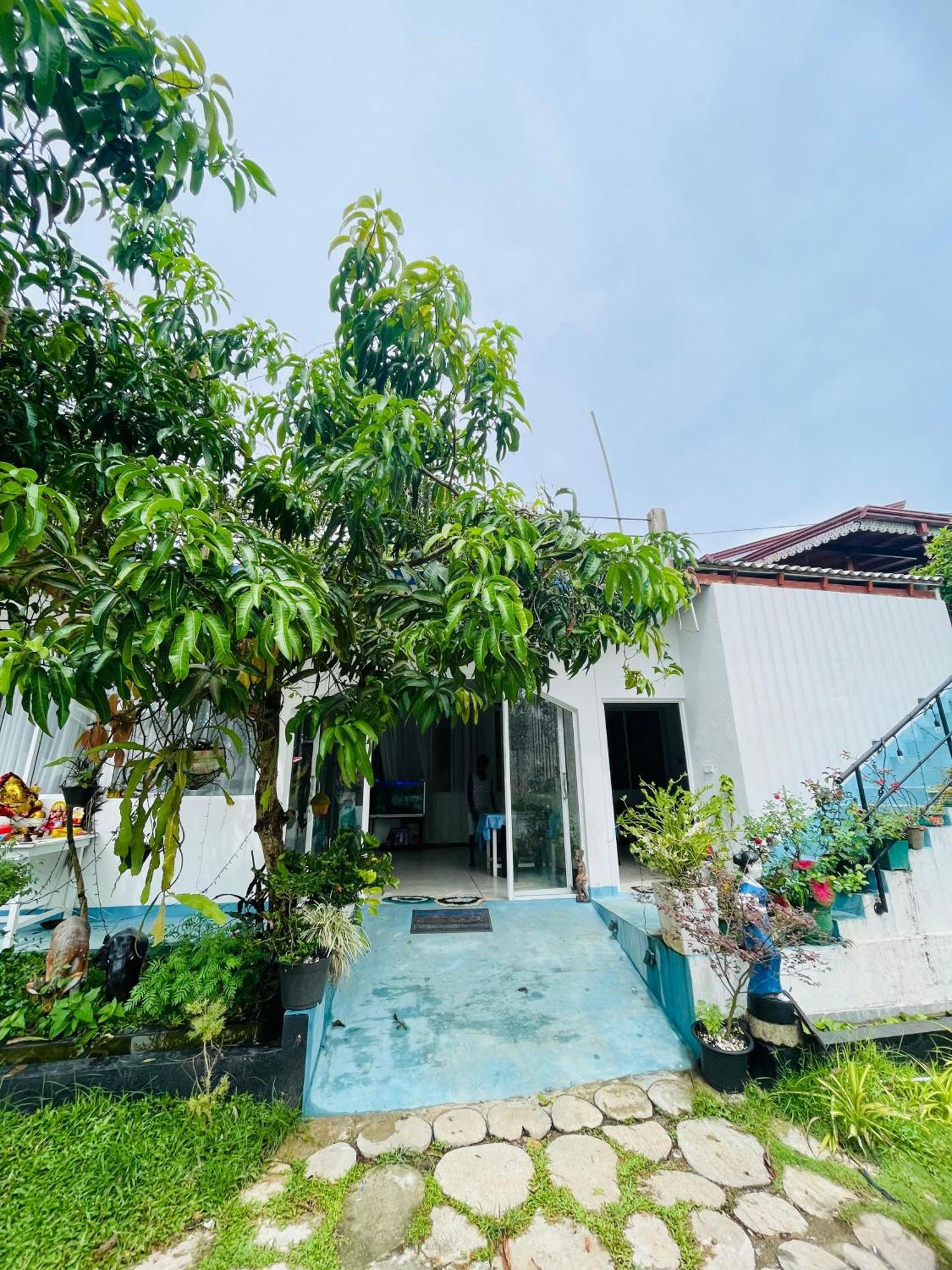 미리사 Moon Light Guest B&B 외부 사진